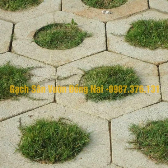 Gạch Trồng Cỏ Lục Giác