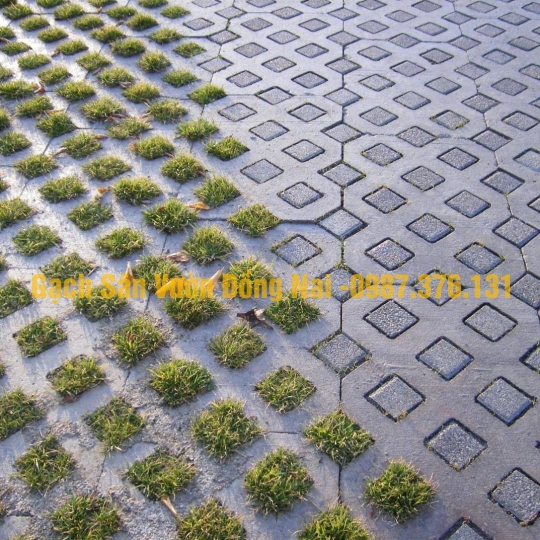 Gạch Trồng Cỏ 8 Lỗ 